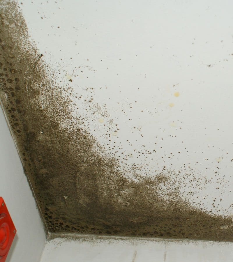 Waterproofing Your Commercial Property Prevents Mold